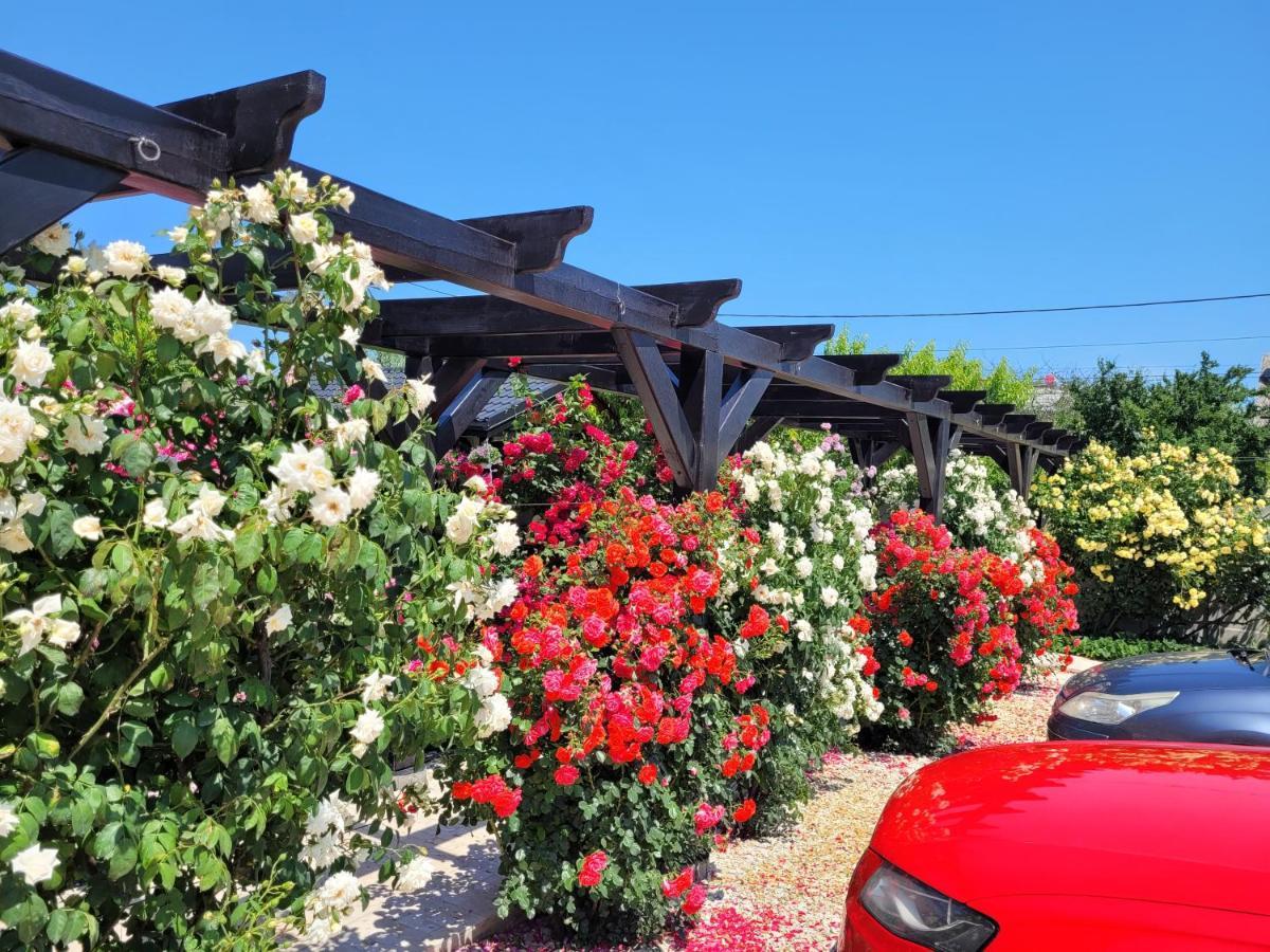 Kys House Hotel Techirghiol Exterior photo