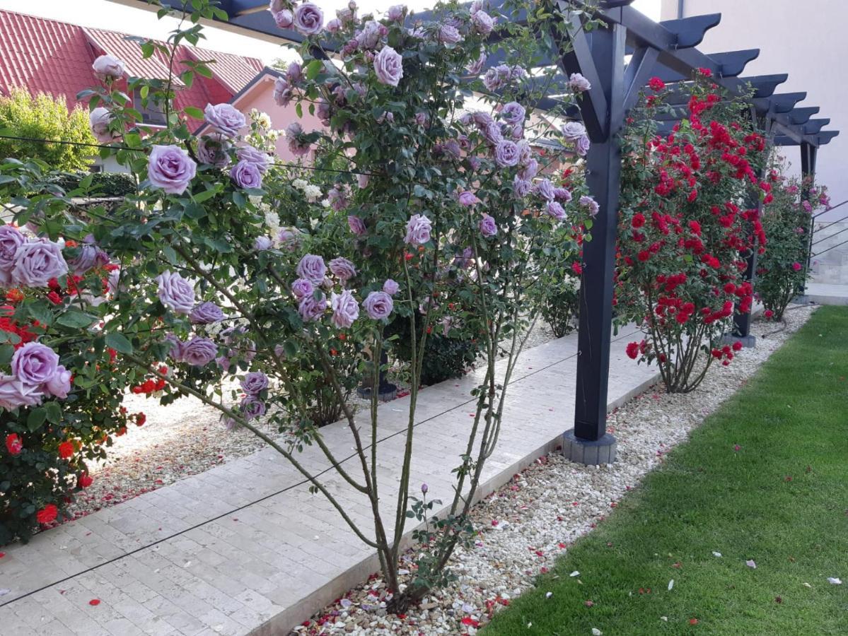 Kys House Hotel Techirghiol Exterior photo